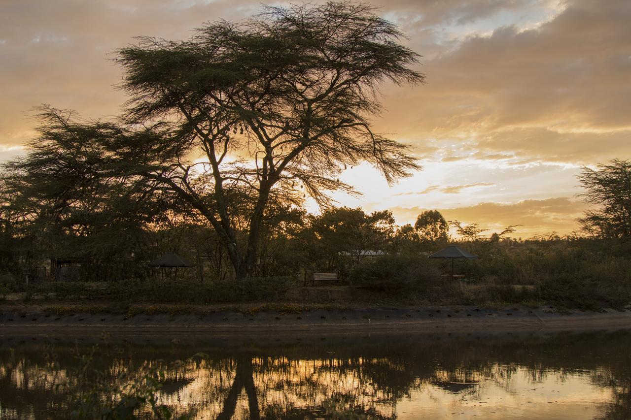 Ziwa Bush Lodge Nakuru Zewnętrze zdjęcie